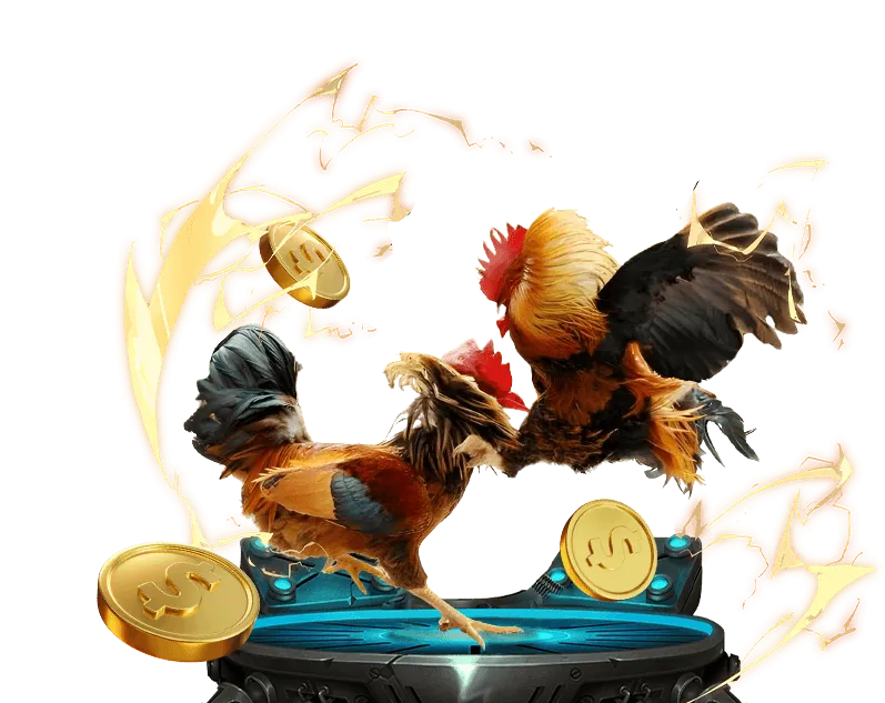 Sự kiện đặc biệt & thưởng lễ hội